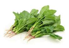 Spinach seeds